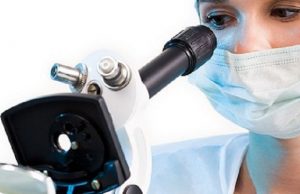 Científicos alemanes logran avances en la lucha contra la malaria