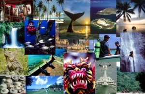 Turismo y resiliencia