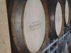 Copas con historia: Un viaje sensorial al corazón de Bodega Michango