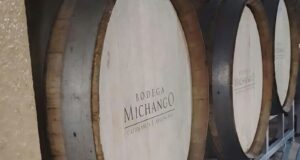 Copas con historia: Un viaje sensorial al corazón de Bodega Michango